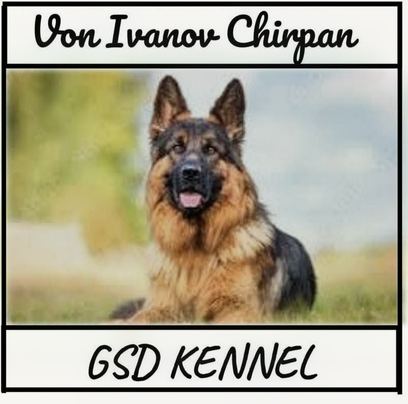 Развъдник за немска овчарка Von Ivanov Chirpan